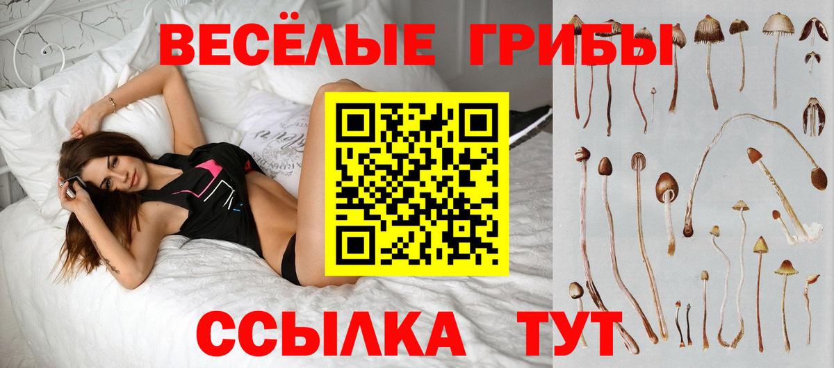 Галлюциногенные грибы Psilocybe  Вход с VPN  Нижнеудинск 