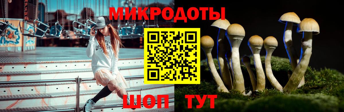 Псилоцибиновые грибы прущие грибы Нижнеудинск